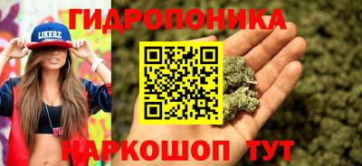индика Краснодар